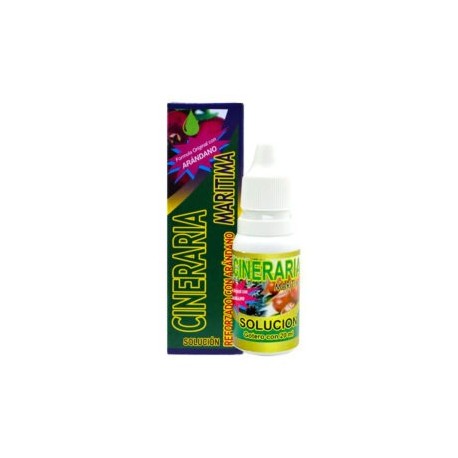 Cineraria Marítima Gotas con Arándano 20 ml