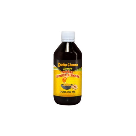 Jarabe Doña Chana Fenogreco y Jengibre 250 ml Shanaturals